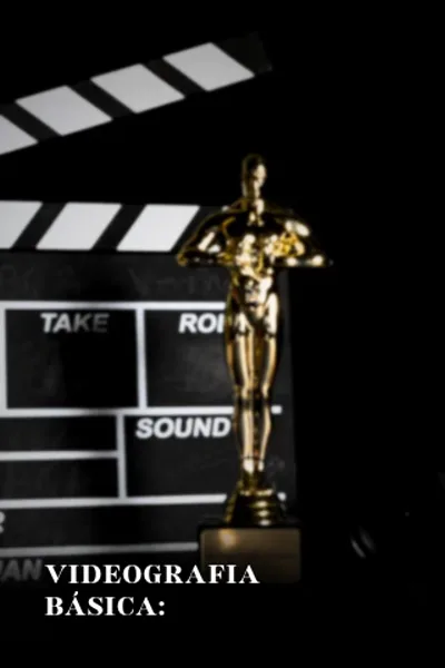 Videografia